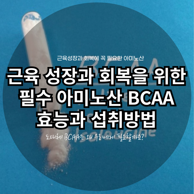 근육 성장과 회복을 위한 필수 아미노산 BCAA 효능과 섭취방법