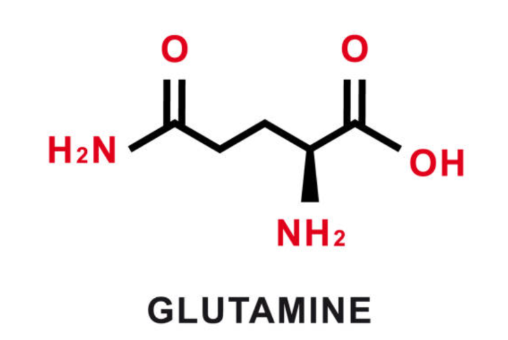 글루타민 화학구조
