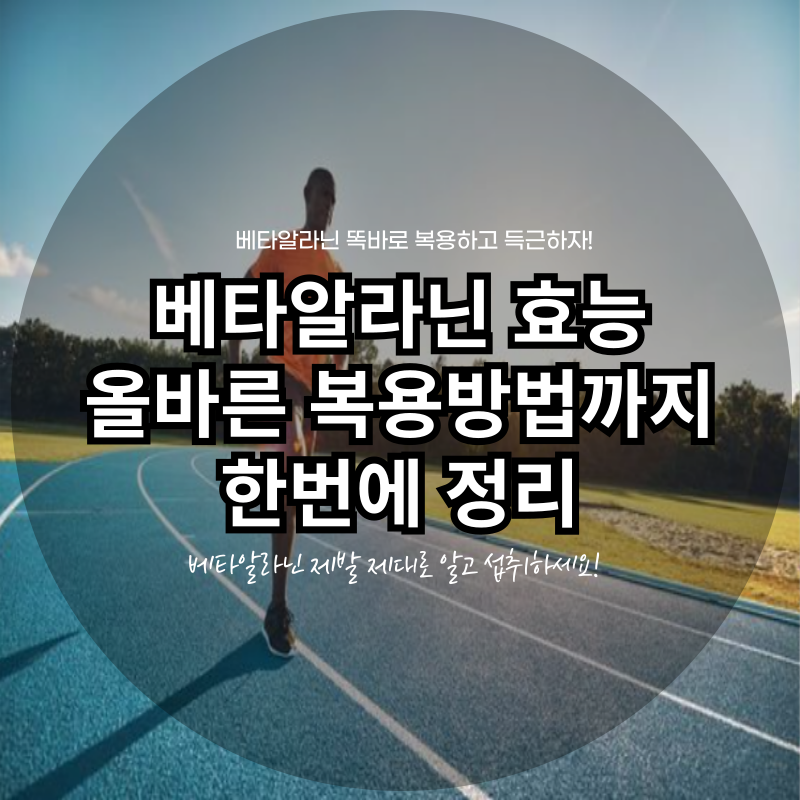 베타알라닌 효능 올바른 복용방법까지 한번에 정리