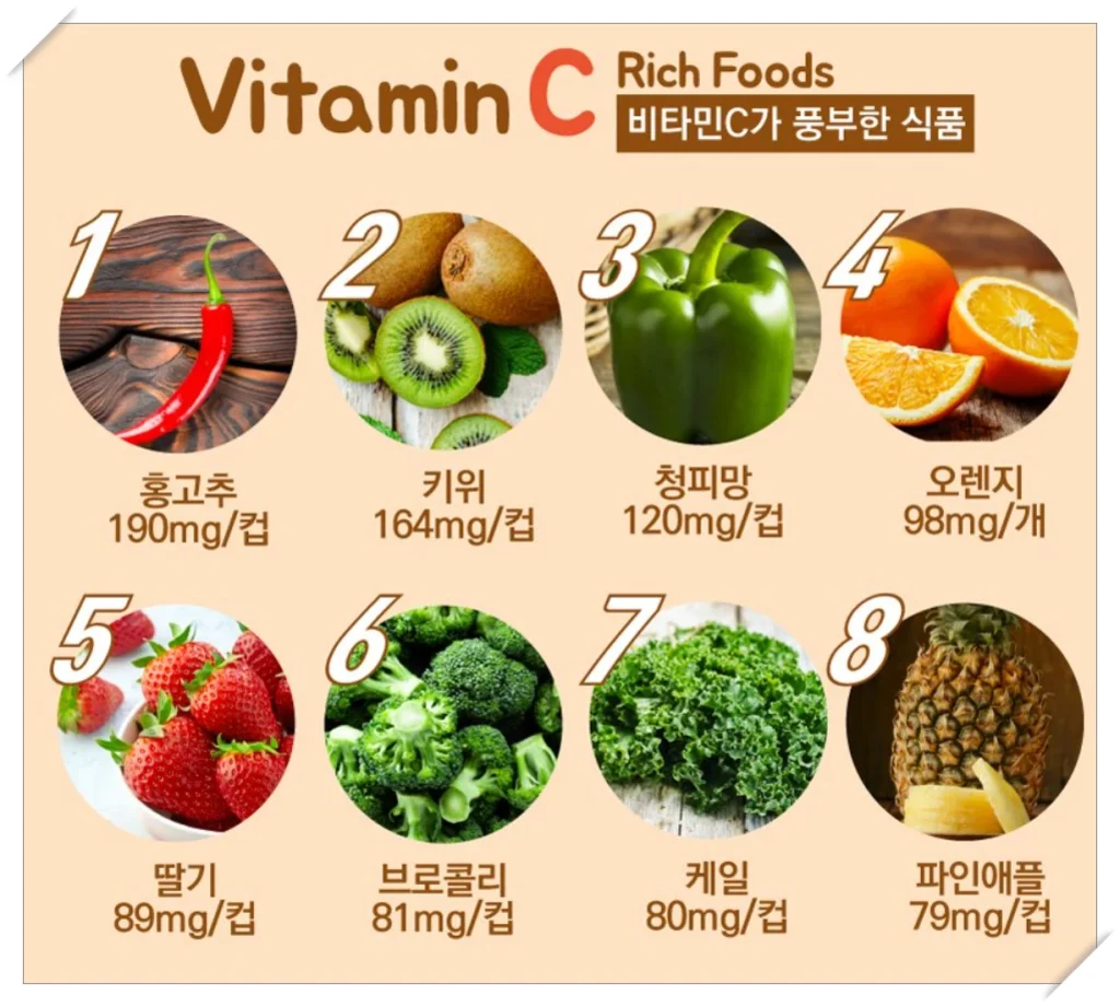 비타민C가 풍부한 음식