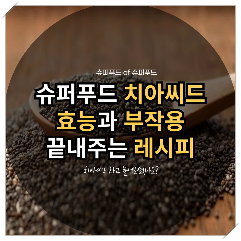 치아씨드 효능과 부작용 끝내주는 레시피