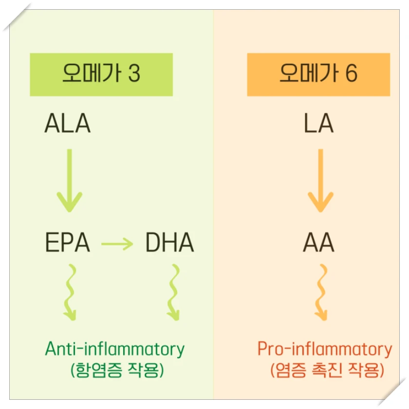 염증 감소와 관절 건강에 기여하는 오메가3