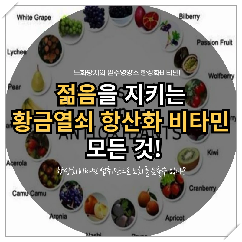 젊음을 지키는 황금열쇠 항산화 비타민의 모든 것!