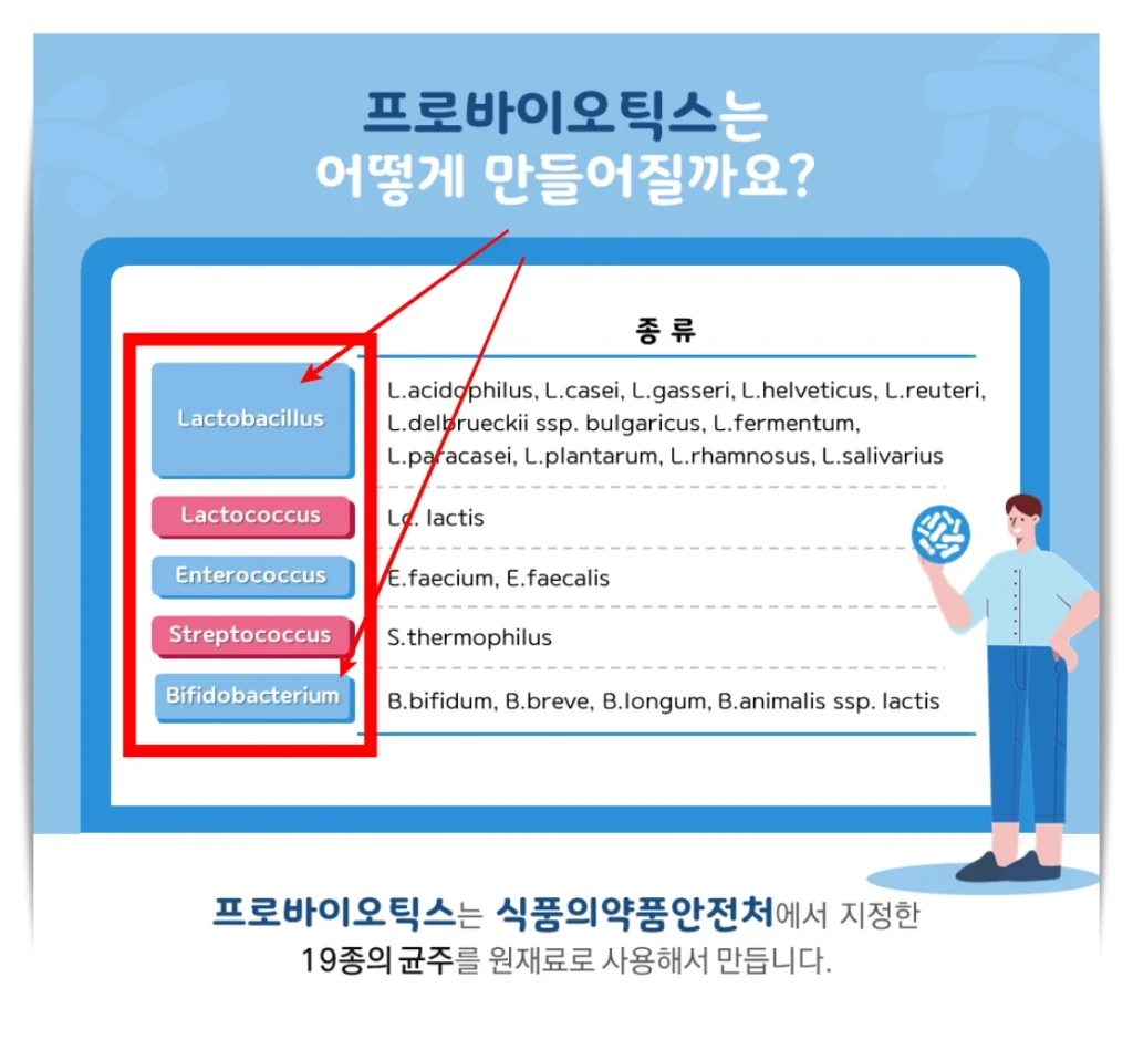 프로바이오틱스 만들어지는 과정