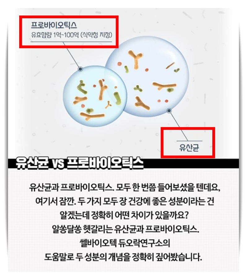 프로바이오틱스 효능과 유산균과의 차이