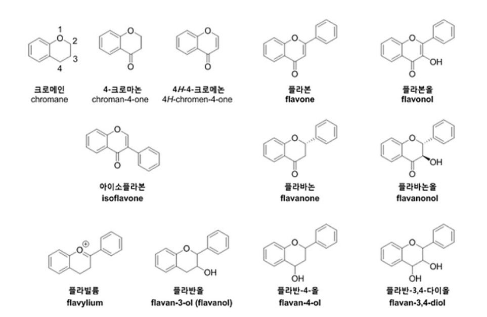 플라보노이드 구조