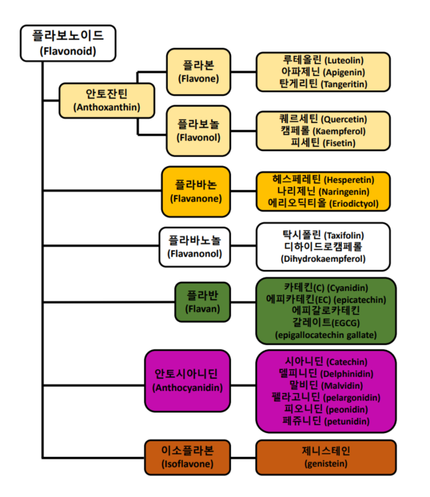 플라보노이드 종류