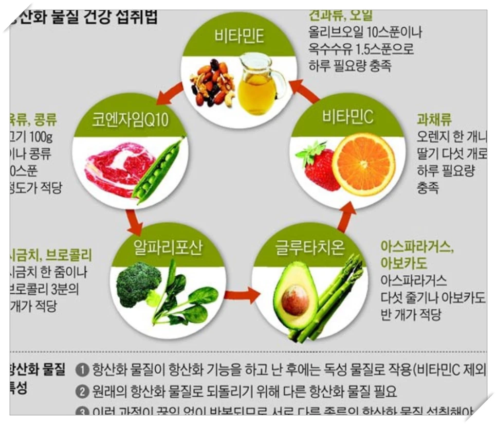 항산화 비타민 섭취 방법