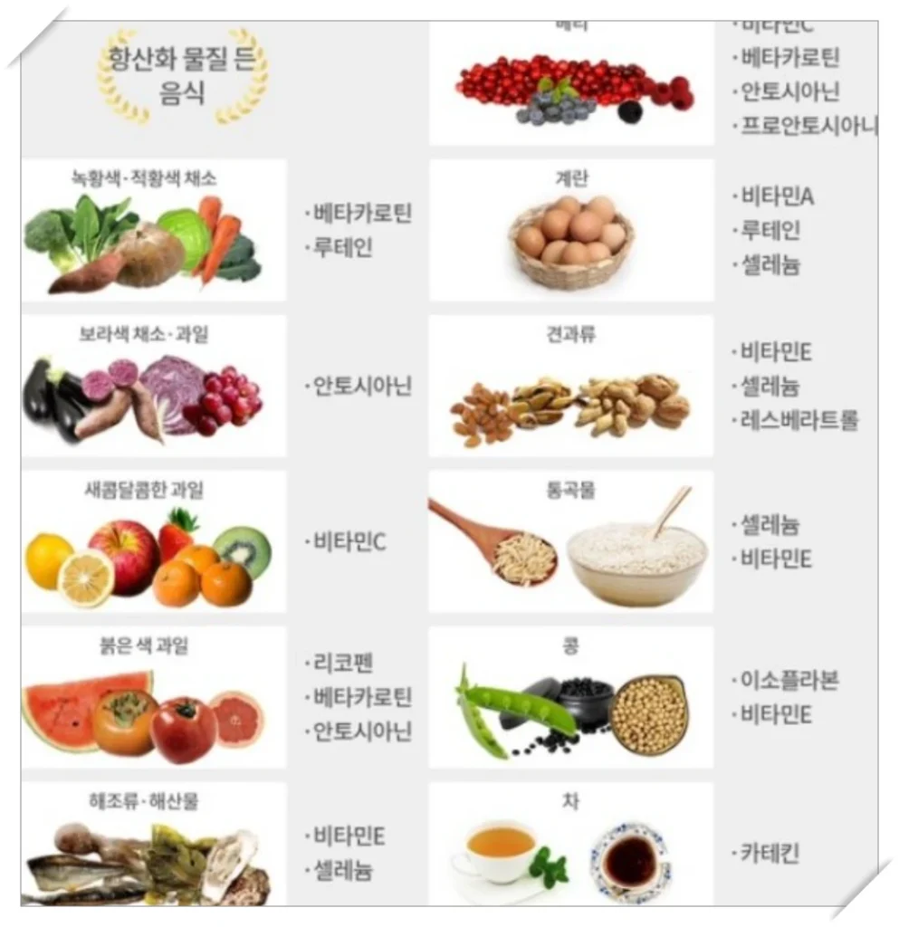 항상화 물질이 많이 들어있는 음식들