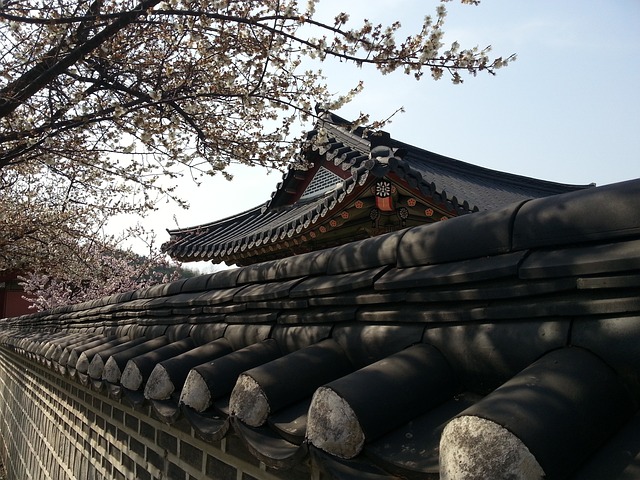 조선시대 사회 구조와 계급 제도 깊이 살펴보기