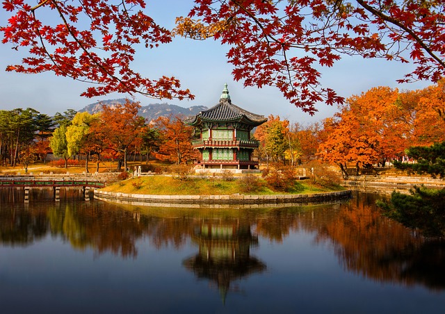 신라 왕권을 위한 군사적 동맹