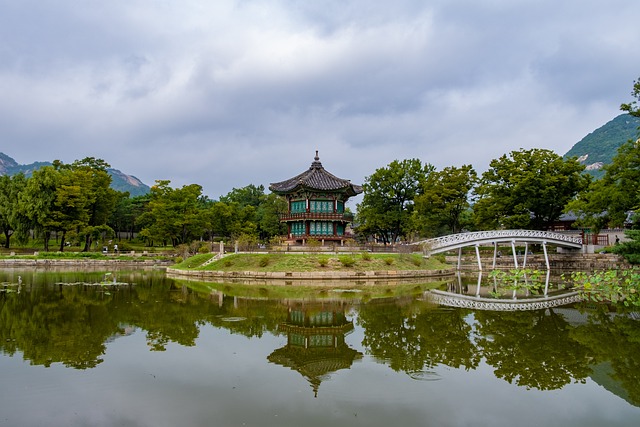 신라 왕권과 군사력의 상호작용 분석