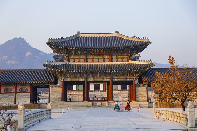 신라의 군사 전략과 정치적 성공