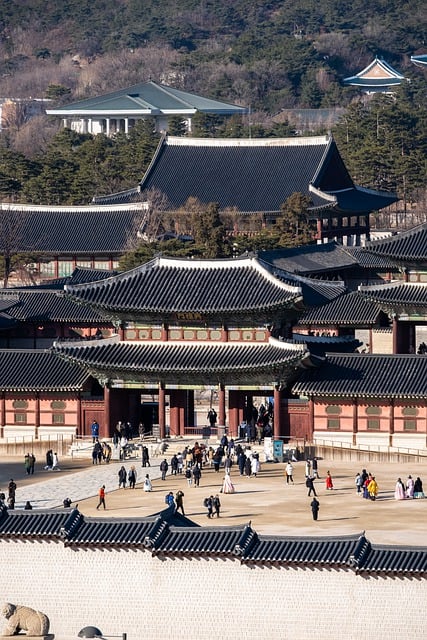 신라 왕권을 위한 군사적 충성도 강화